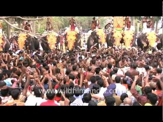 Elephant Festival in Kerala