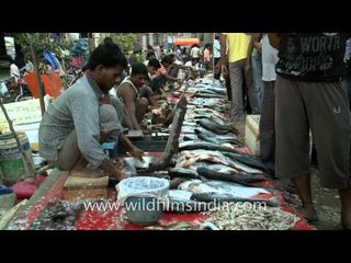 Fish for sale in local meat market, Gurgaon