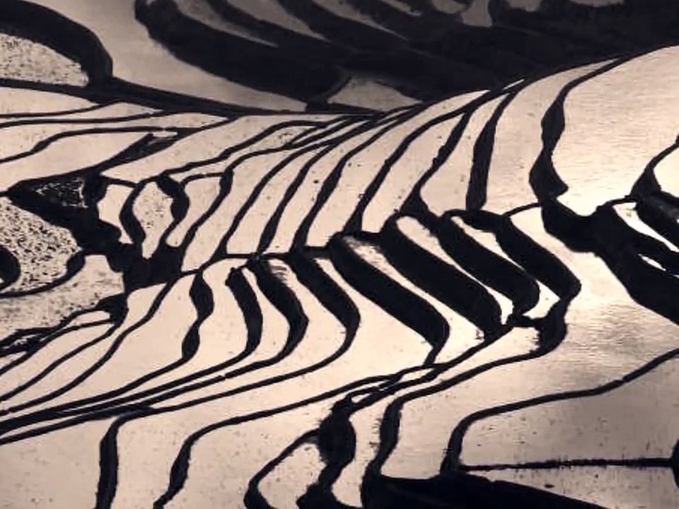 テラスハウス エンディングテーマ Snow Patrol - Chasing Cars Cover