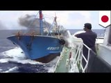 Japan seeks compensation from captain of Chinese vessel in 2010 ship collisions