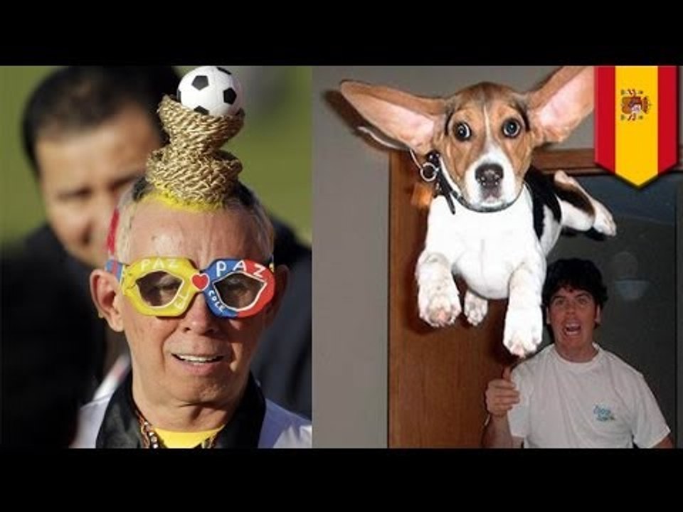 Spanish soccer fan throws dog at referee