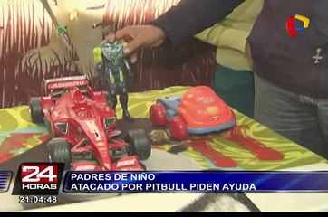 Santa Anita: Padres de niño atacado por perro pitbull piden ayuda