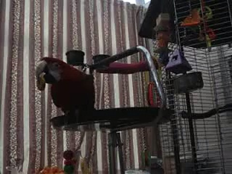 Asking for a banana