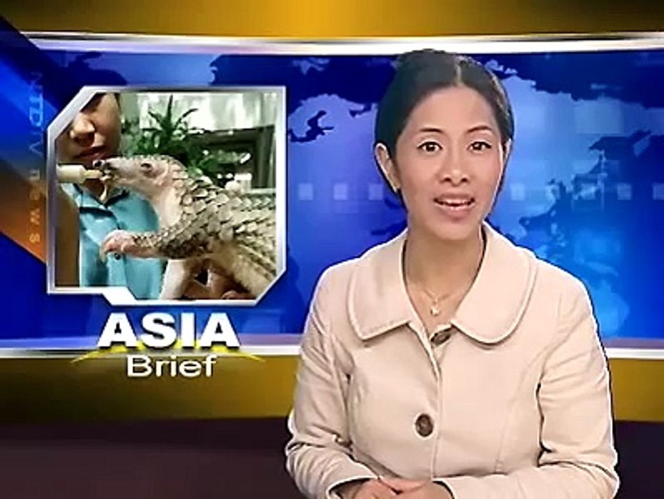 Rare Anteater Remains Discovered