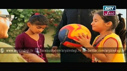 Behenain Aisi Bhi Hoti Hain Ep – 223 – 11th May 2015