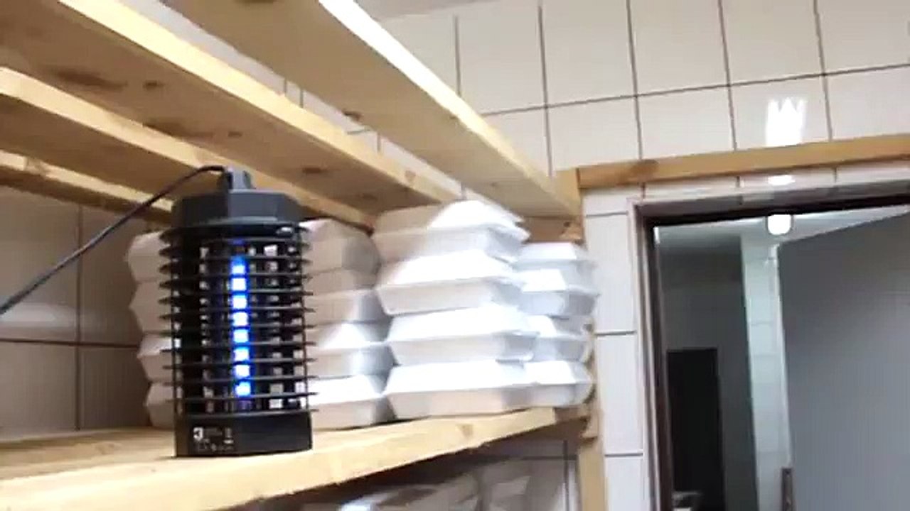 Hodowla ślimaków - SNAILS GARDEN - start sezonu luty 2011 - Rozmnażanie ślimaków afrykańskich