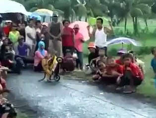 Funny Monkey bike riding | HD | 2015