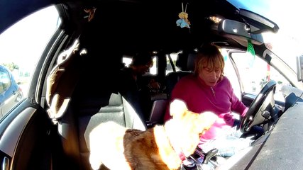 CASA TURCHI RUSSO / Medjugorje - In viaggio verso Medjugorje