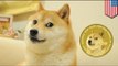 Dogecoin: cryptocurrency passes Bitcoin to reach the moon