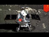 China's Jade Rabbit moon rover suffers technical problems