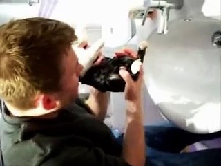 Rabbit Rinsing - Keeping the Bunny Clean