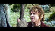 The Hobbit The Desolation of Smaug Trailer Reaction - Benedict Cumberbatch Speaks