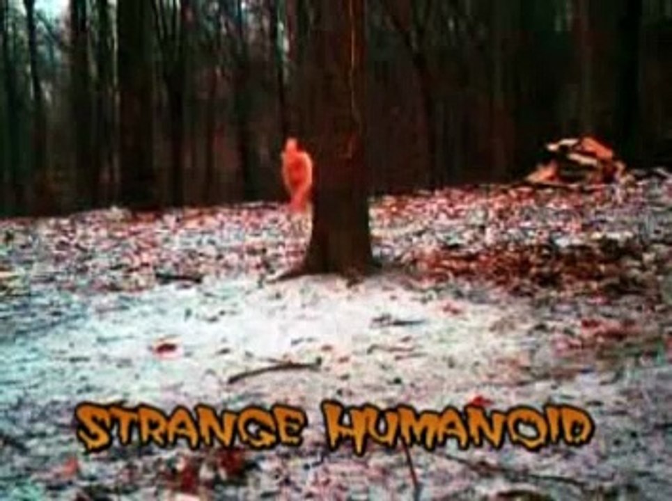 Strange World: Creatures