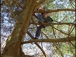 Scoliosis Screening ~ Catch the Curve