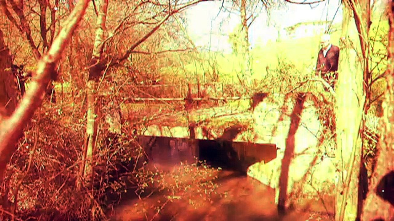 Javier Aizpiri 2 - Podar, adobar i posar al sol (parte 2) [CAS] 2015