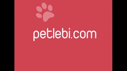 Hill's Adult Advanced Fitness Medium with Chicken Tavuklu Orta Irk Yetişkin Köpek Maması