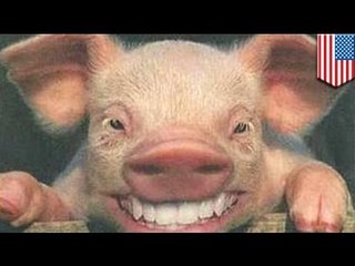 隣の家の悲鳴　現場はハーレム