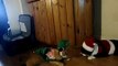 Santa (Fergus the Tuxedo Cat) and his helper (Sam the Skinny Orange Cat)