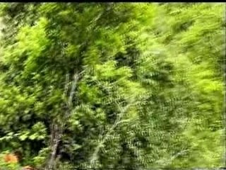 Maurice Chamarel Sud