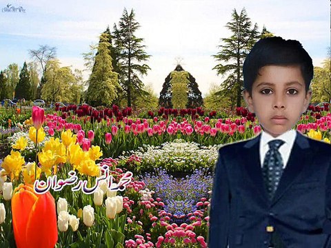 Muhammad Ans Rizwan is studying in Pakistan House of Knowledge Dinga