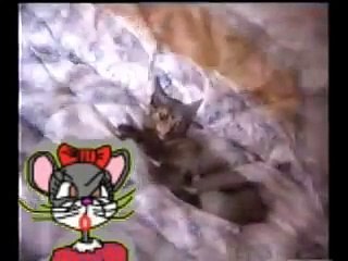 CANCIÓN INFANTIL. megui