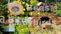 The Wildlife World SBH1 Solitary Bee Hive Product in Use Video