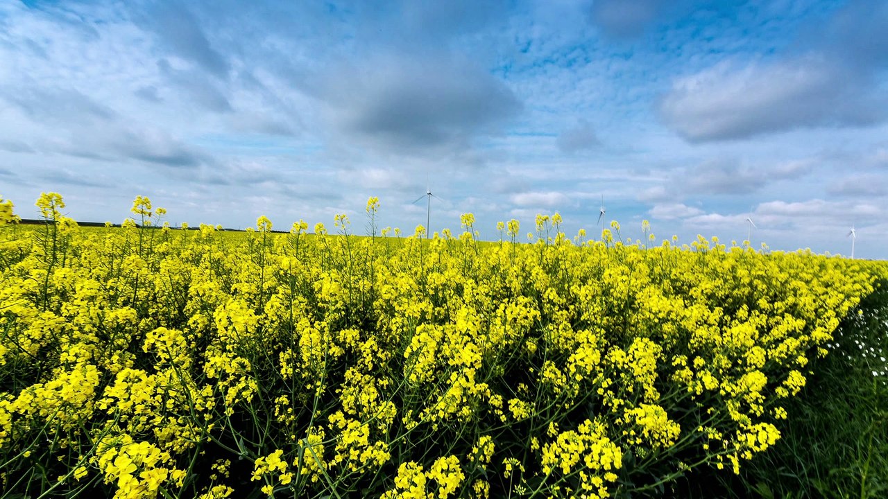 Trucage photo facile