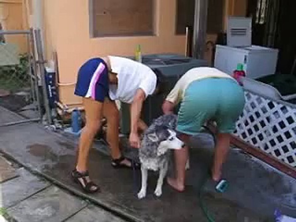 Bañando a Donna 02