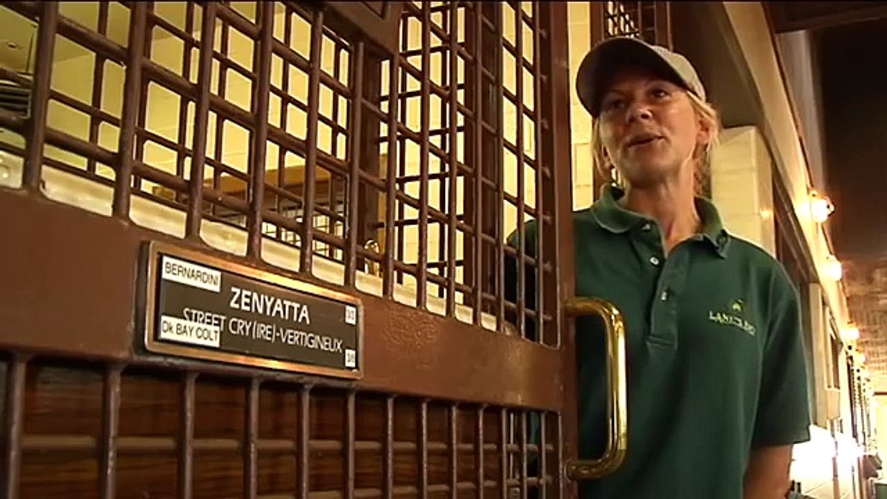 ZENYATTAS FOAL
