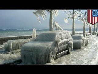 Media in a spin over polar vortex