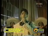 Mi QUERIDO VIEJO   VICENTE FERNAN DEZ ALEJANDRO FERNANDEZ