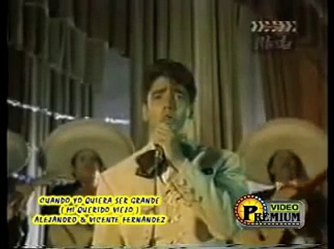 Mi QUERIDO VIEJO VICENTE FERNAN DEZ ALEJANDRO FERNANDEZ
