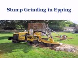 Stump Grinding in Epping
