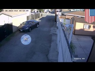 Man runs over dog with car deliberately [CENSORED VERSION]