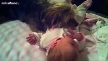 Best Of Funny Cats And Dogs Protecting Babies Compilation