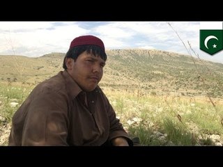 Pakistan hails 'hero' teen who died stopping suicide bomber outside school