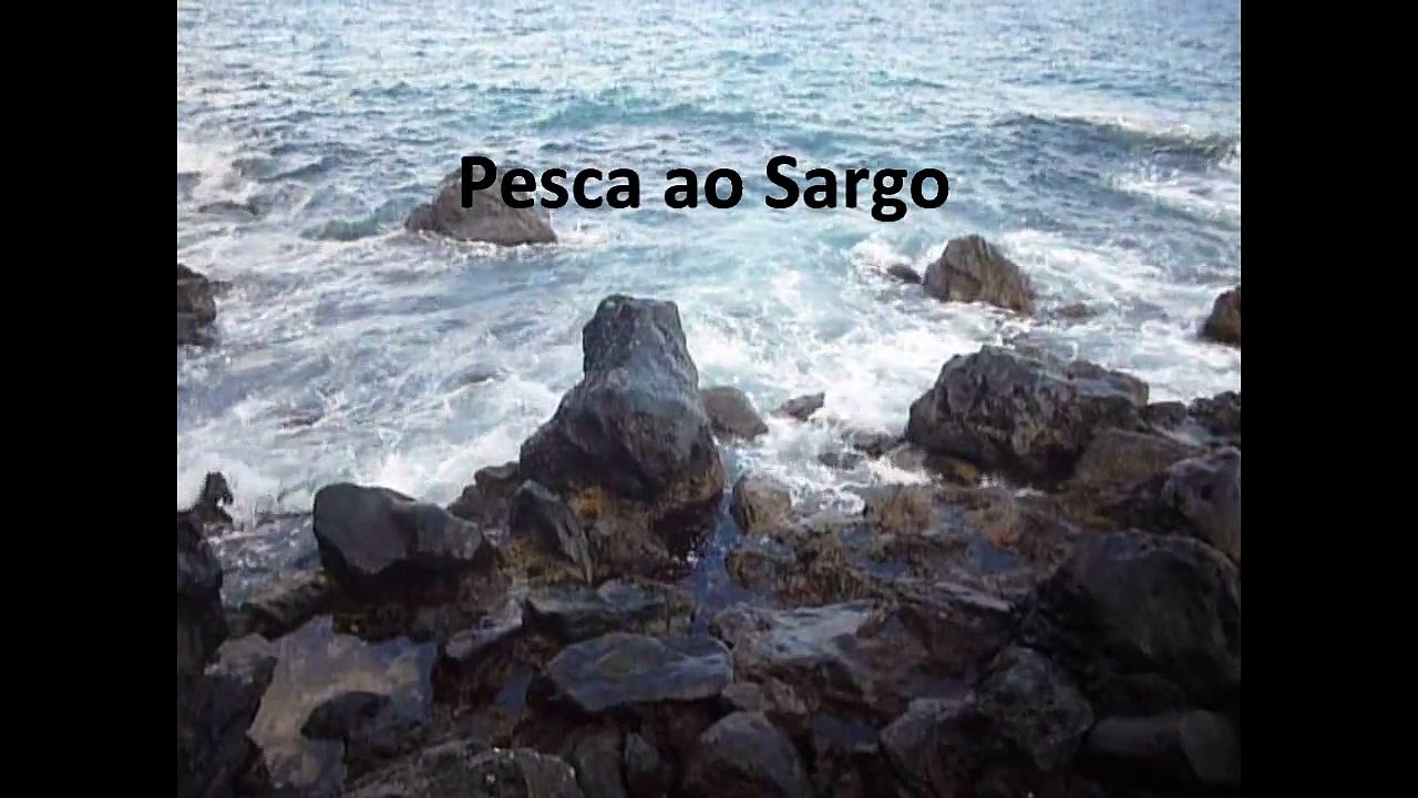 PESCA NA MADEIRA.PESCA AO SARGO