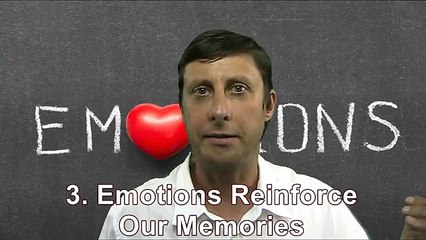 How Your Emotions Work