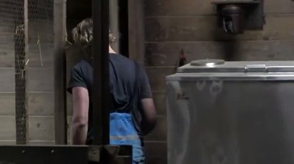 26-10-14, 20_30 Gio en Isa in de stal.