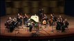 Vivaldi Concerto for Mandolin in C major , RV 425 3mov