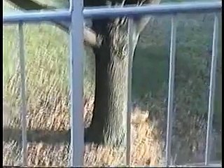 These two squirrels are truely in love