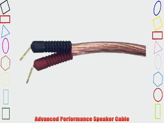 Original Monster Cable Clear Jacket - High Performance Speaker Cable - 10 ft. pair - 3.04 m.