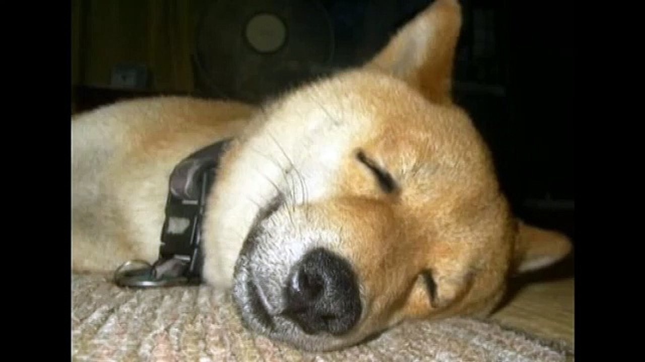 【アレ?】旦那が帰ってこないんですけど 加藤諦三 テレホン人生相談