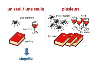 3.10 Le singulier et le pluriel du nom (auteur Clic ma classe!)