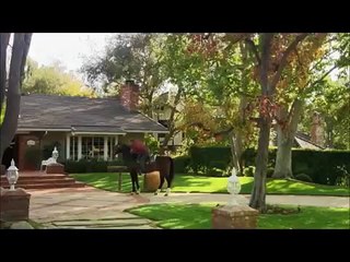 'WEIRD OR WHAT' WITH WILLIAM SHATNER, DR DAVID SANDS TALKS SUICIDE DOGS (AGAIN)