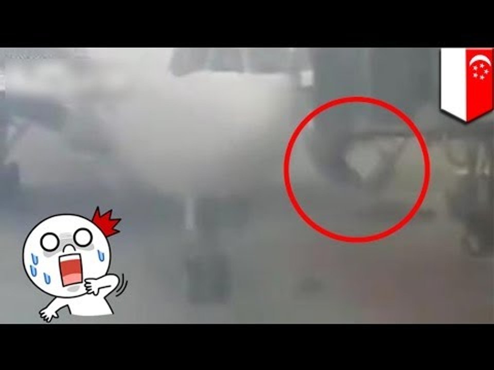 Singapore Airlines flight sucks baggage container into engine at Changi Airport