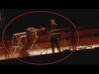 ベテラン調教師をトラが襲う