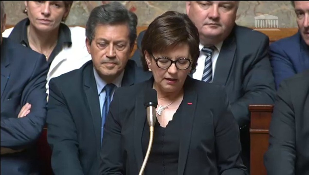 Claudine Schmid - Réforme du collège
