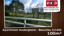 For Rent - Apartment - Auderghem - Beaulieu (1160) - 100m²