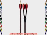 AUDIOQUEST - GOLDEN GATE MINI-TO-RCA 1.5M